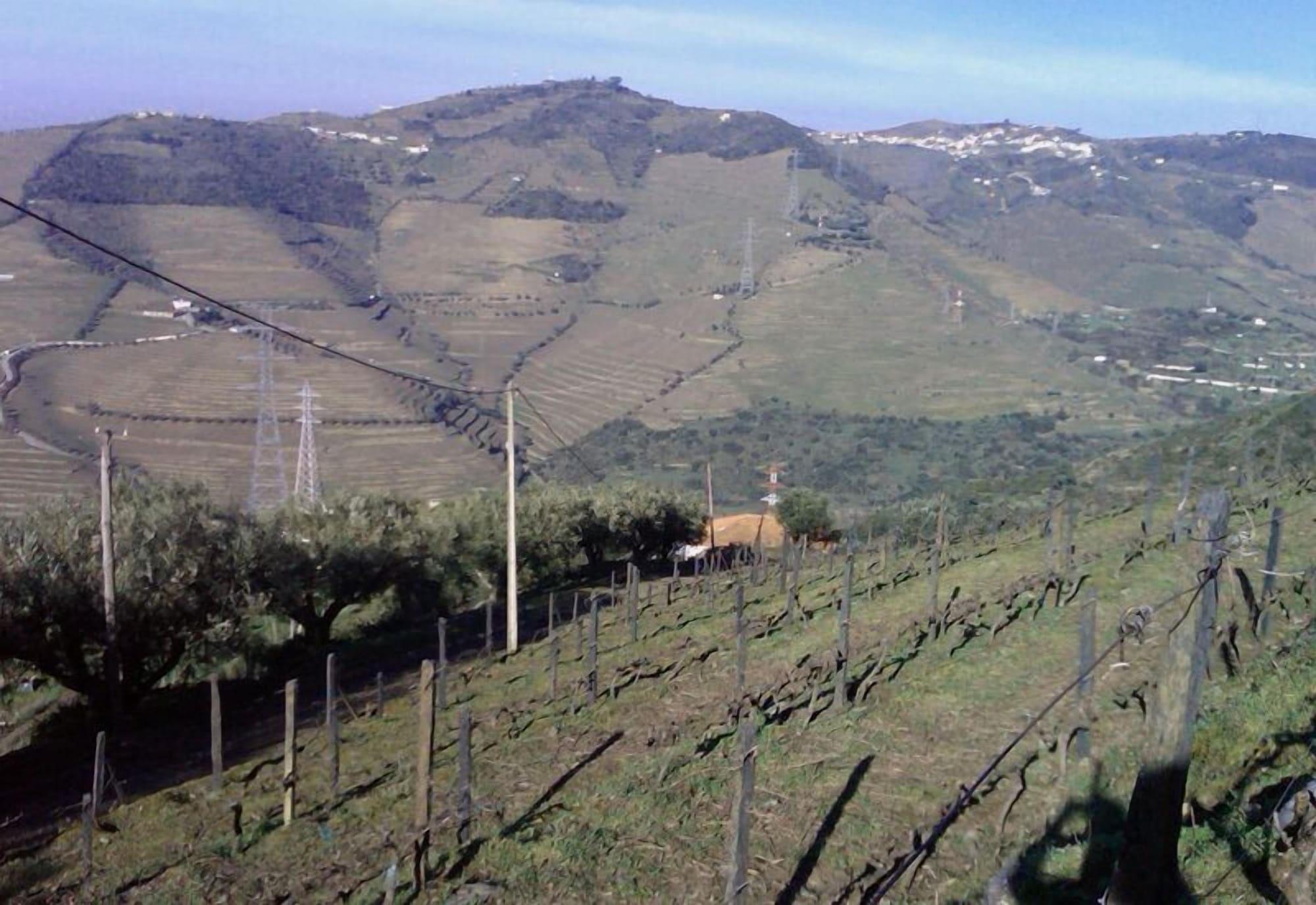 Quinta De Casaldronho Wine Hotel Lamego Exteriér fotografie
