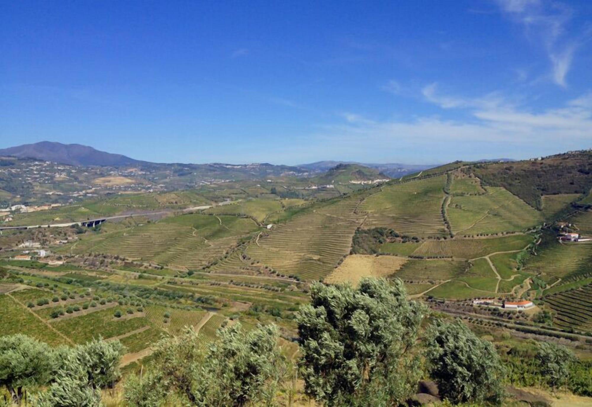 Quinta De Casaldronho Wine Hotel Lamego Exteriér fotografie